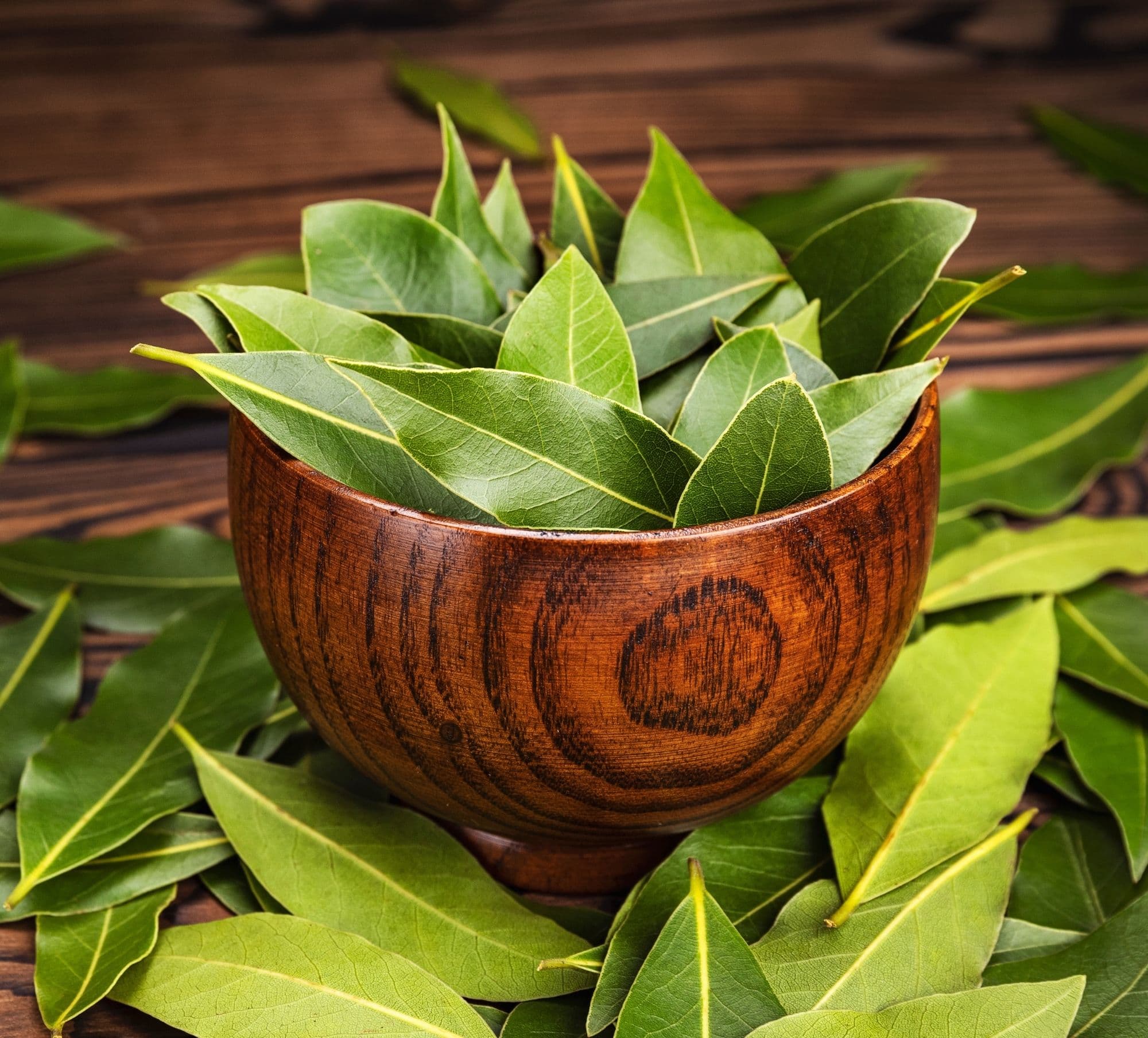 Turkish bay leaves in a bowl