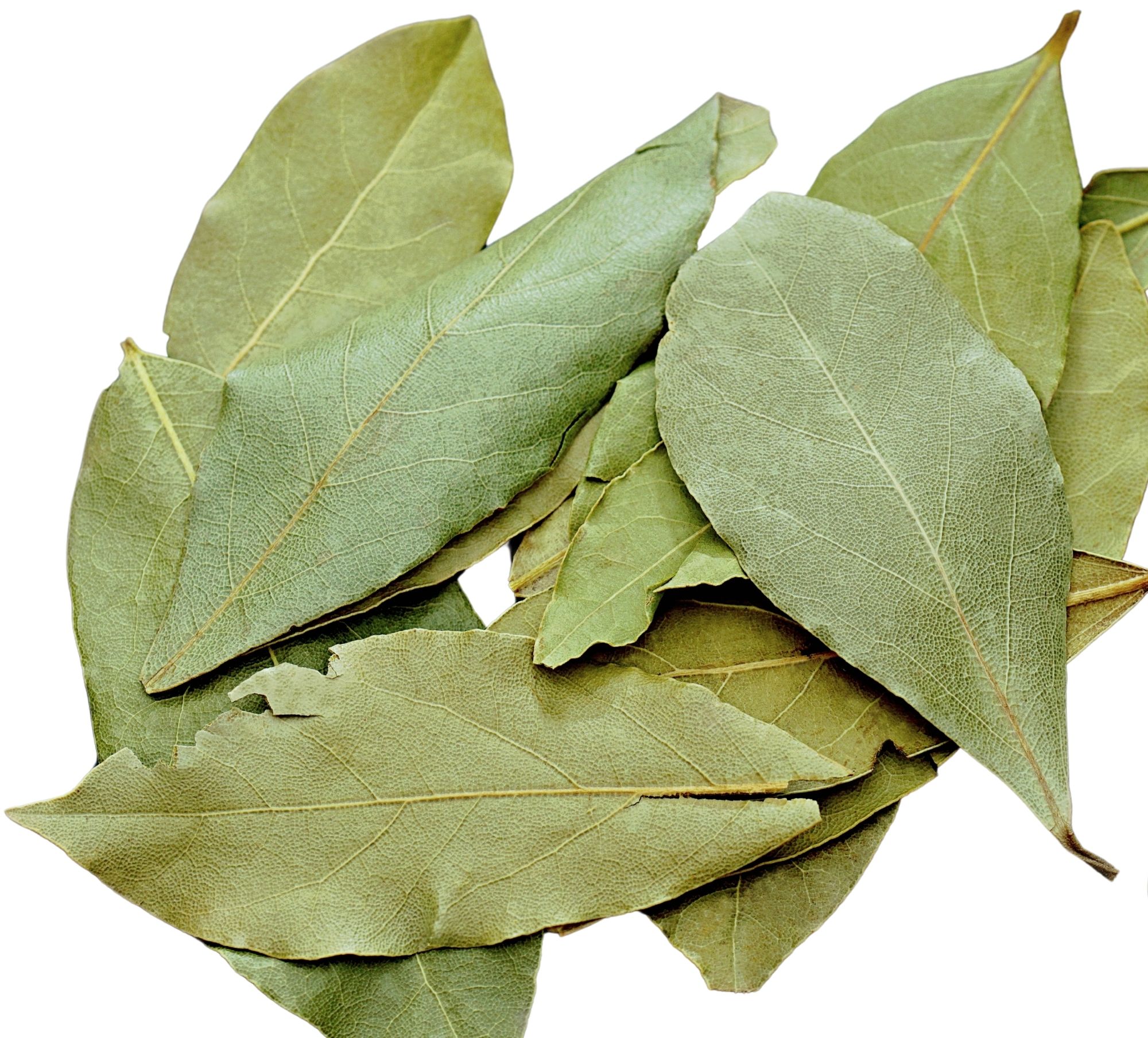 Dried Turkish bay leaves — Marmara / Black Sea